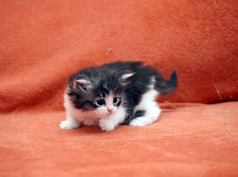 Winnie am 03.04.2026